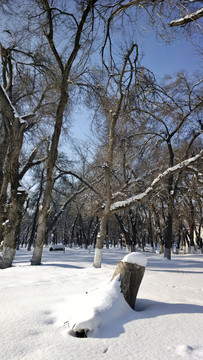 冬雪