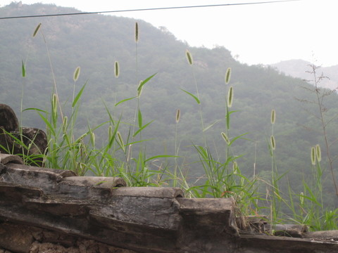 爨底下 靈水