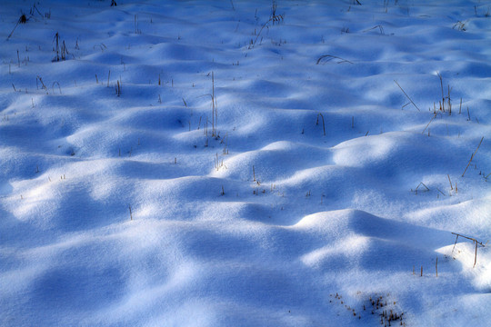 濕地雪包