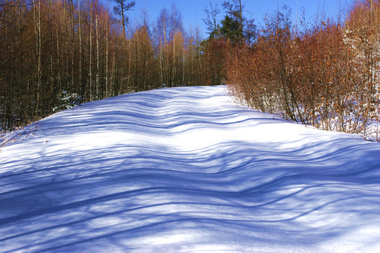 雪路