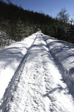 雪路