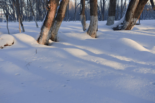 冬雪