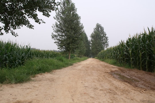 鄉(xiāng)間小路