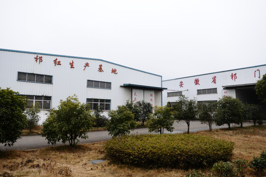 祁門紅茶生產(chǎn)基地