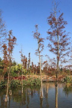 海珠湖公園