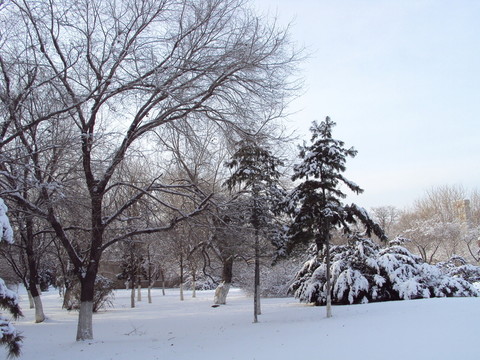 雪景