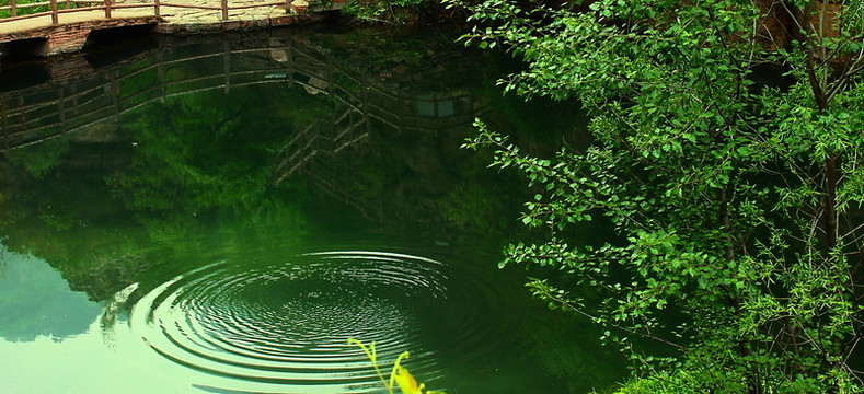 水面
