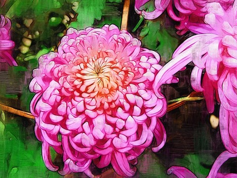 裝飾畫 花卉