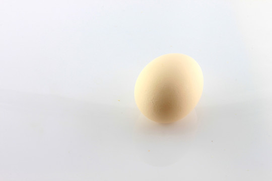 雞蛋