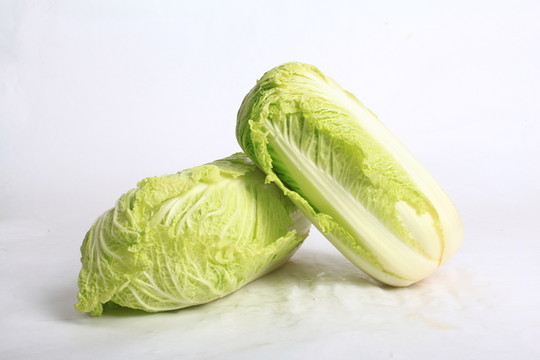 大白菜 長白菜