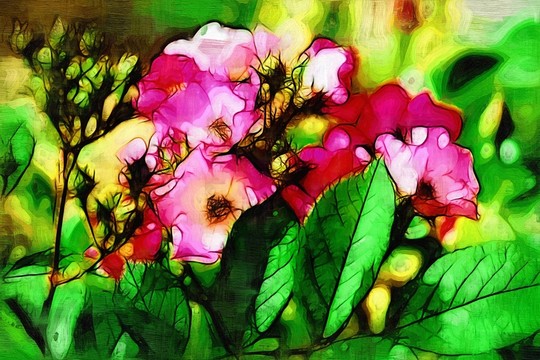 裝飾畫 薔薇花