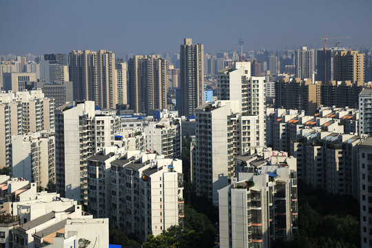 城市