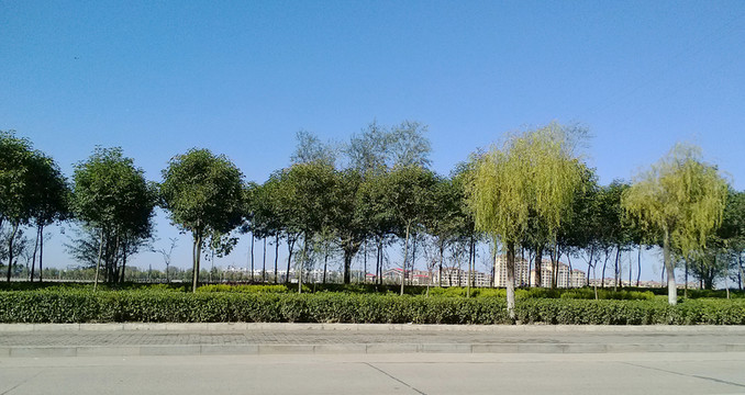 浉河岸邊