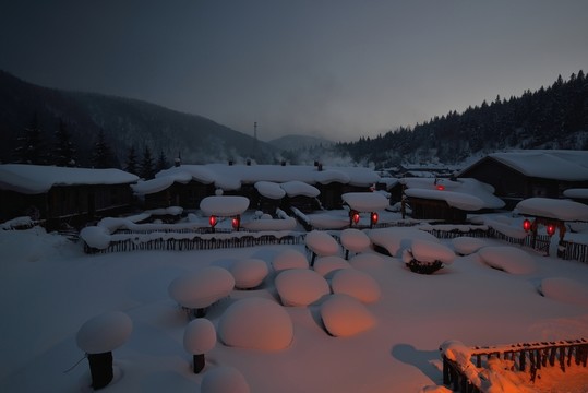 雪鄉(xiāng)夜景