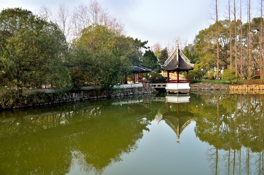 醉白池
