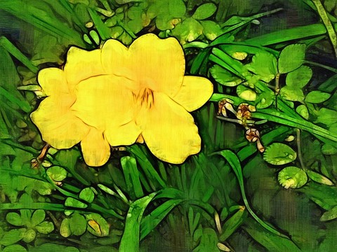 裝飾畫 花卉