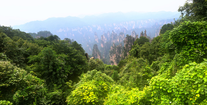 張家界風(fēng)景