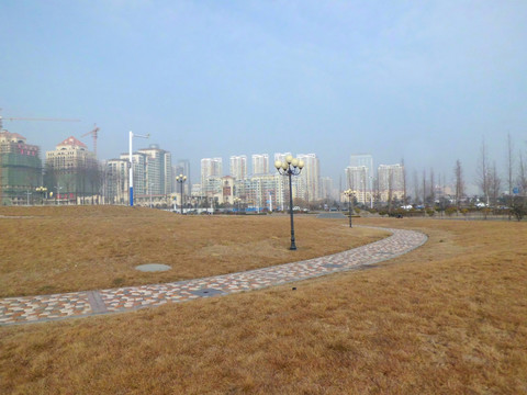 唐島灣草地