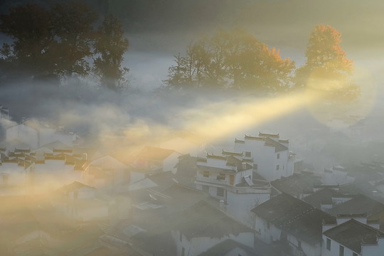 光照霧里人家