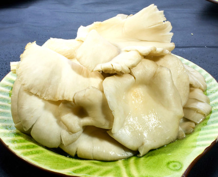 蘑菇 菌類