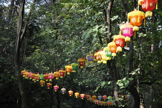 春節(jié)燈會(huì) 燈籠