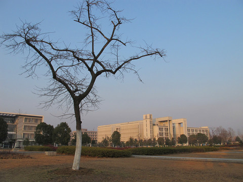 冬季的校園