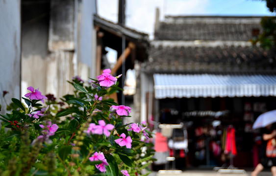 新場古鎮(zhèn)