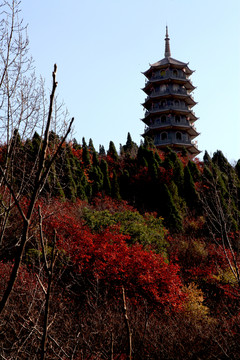 山東濟(jì)南紅楓谷