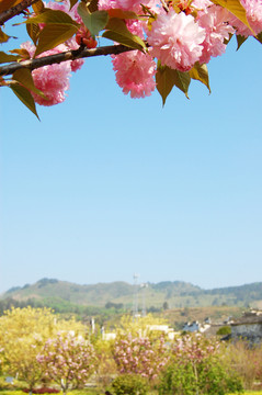 山嶺