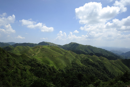 荔波風(fēng)光