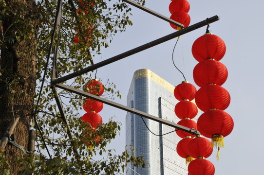 紅燈籠