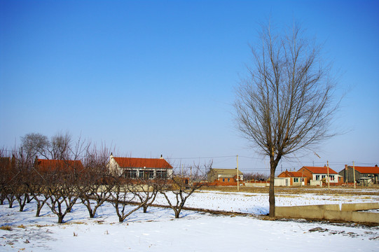 農(nóng)村景色