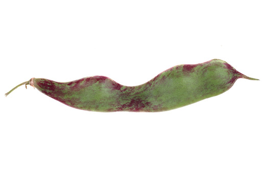 東北油豆角
