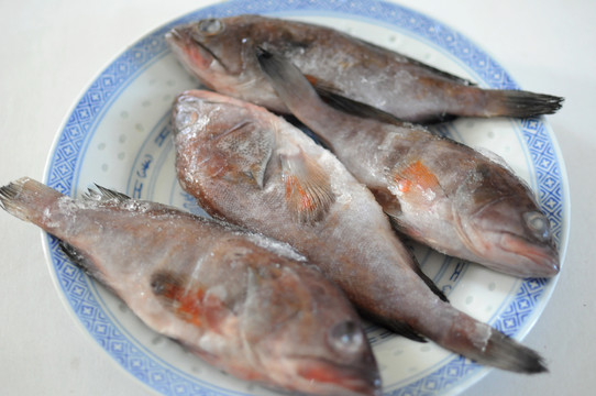 石斑魚