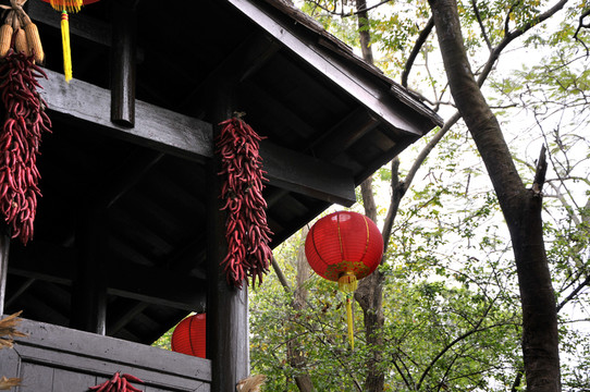 深圳民俗文化村 苗寨