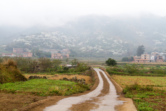 進村公路