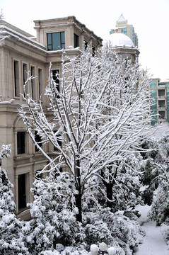 小區(qū)雪景