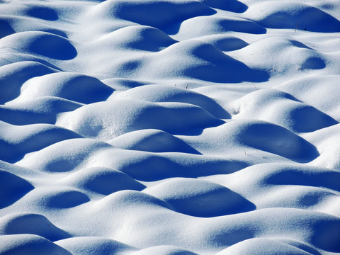雪景雪包
