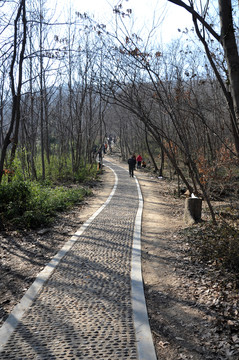 山間小道