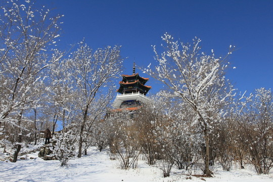 龍沙公園雪景