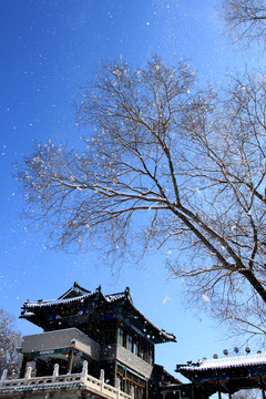 龍沙公園雪景