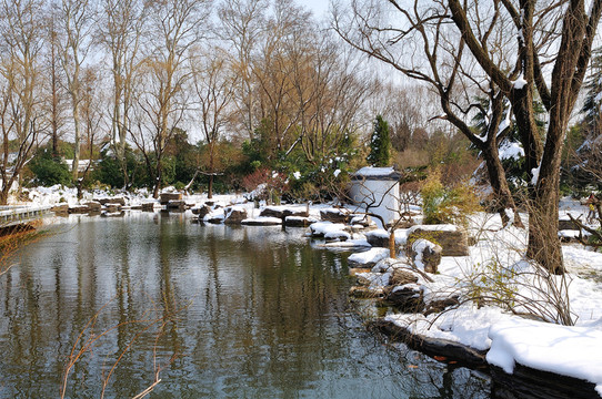 雪景