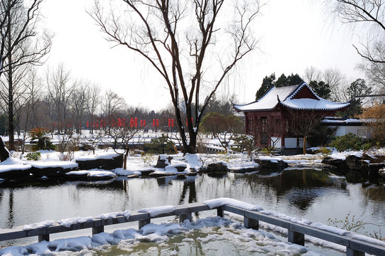 雪景