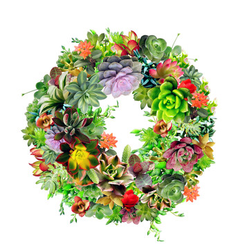 彩色多肉植物花環(huán)