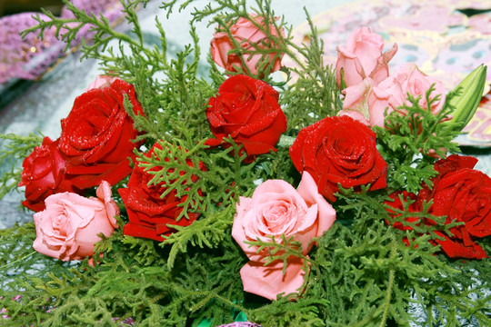 玫瑰花
