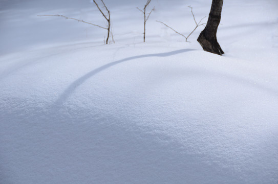 山林雪景