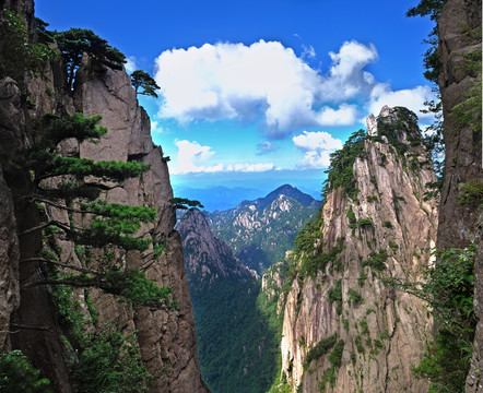 黃山風(fēng)光美景