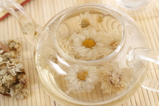 黃山貢菊菊花茶