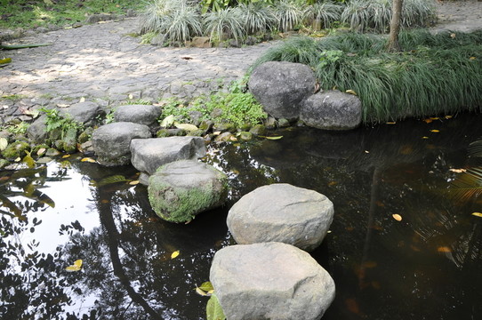 華南植物園 石徑
