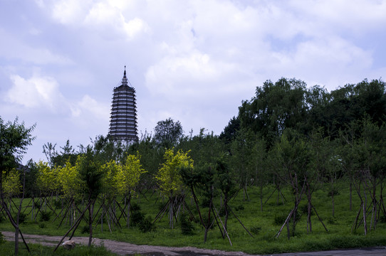 沈陽舍利塔